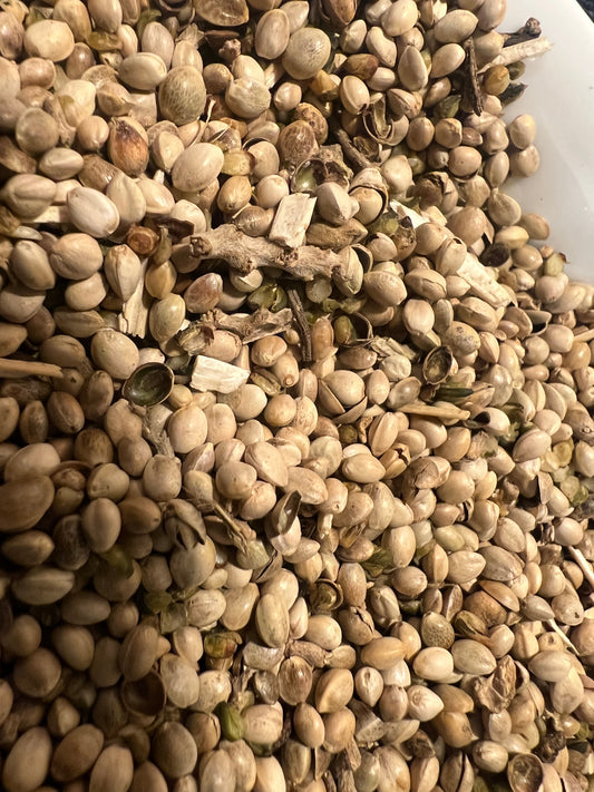 Ripkitty Premium Hemp Seeds: Avian & Equine Feed