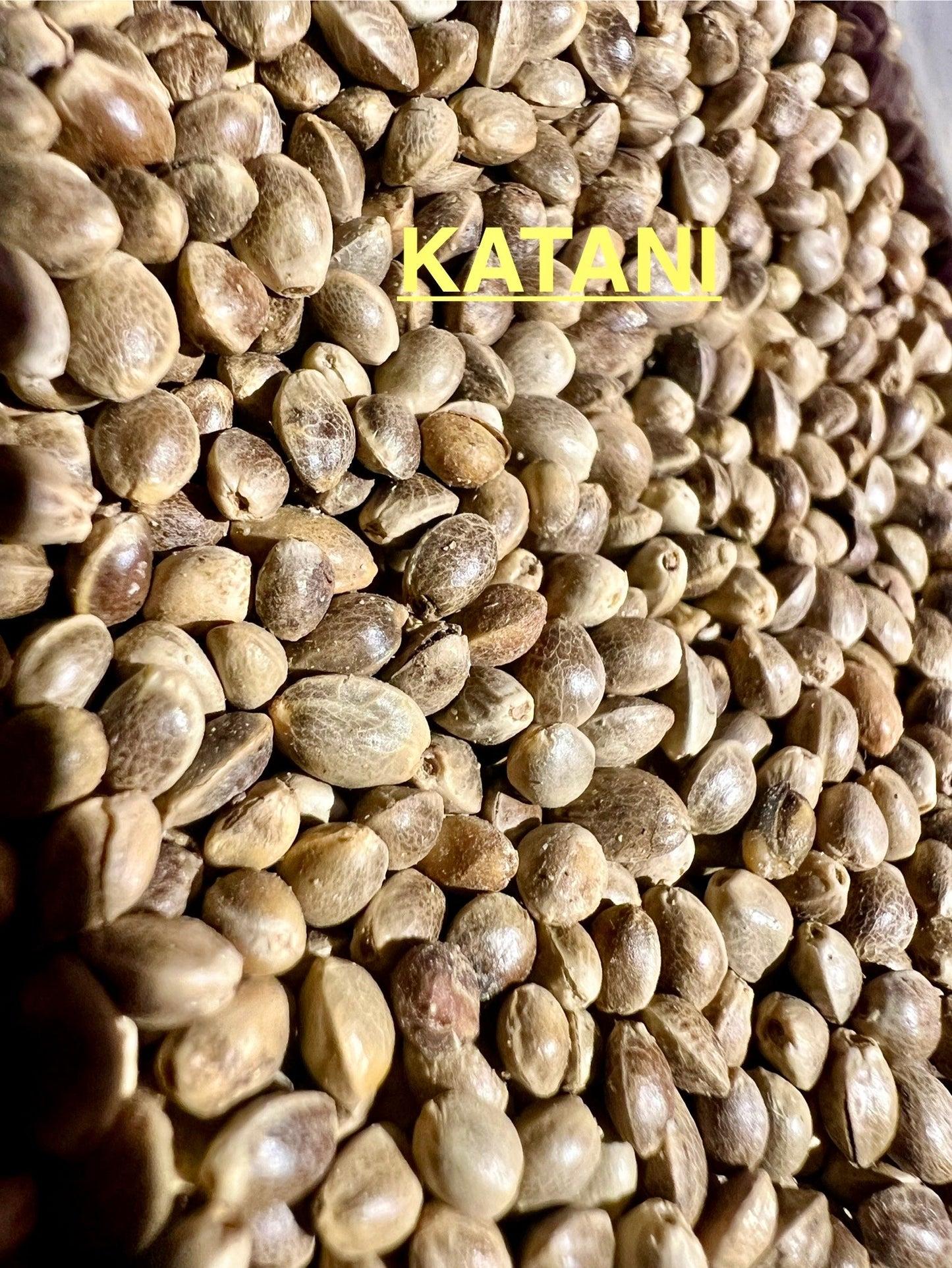Ripkitty International & Domestic Live Raw Viable CBD Hemp Seeds Sold in Bulk & Single Amounts for Agriculture, Poultry, Equine Feeding, & Livestock