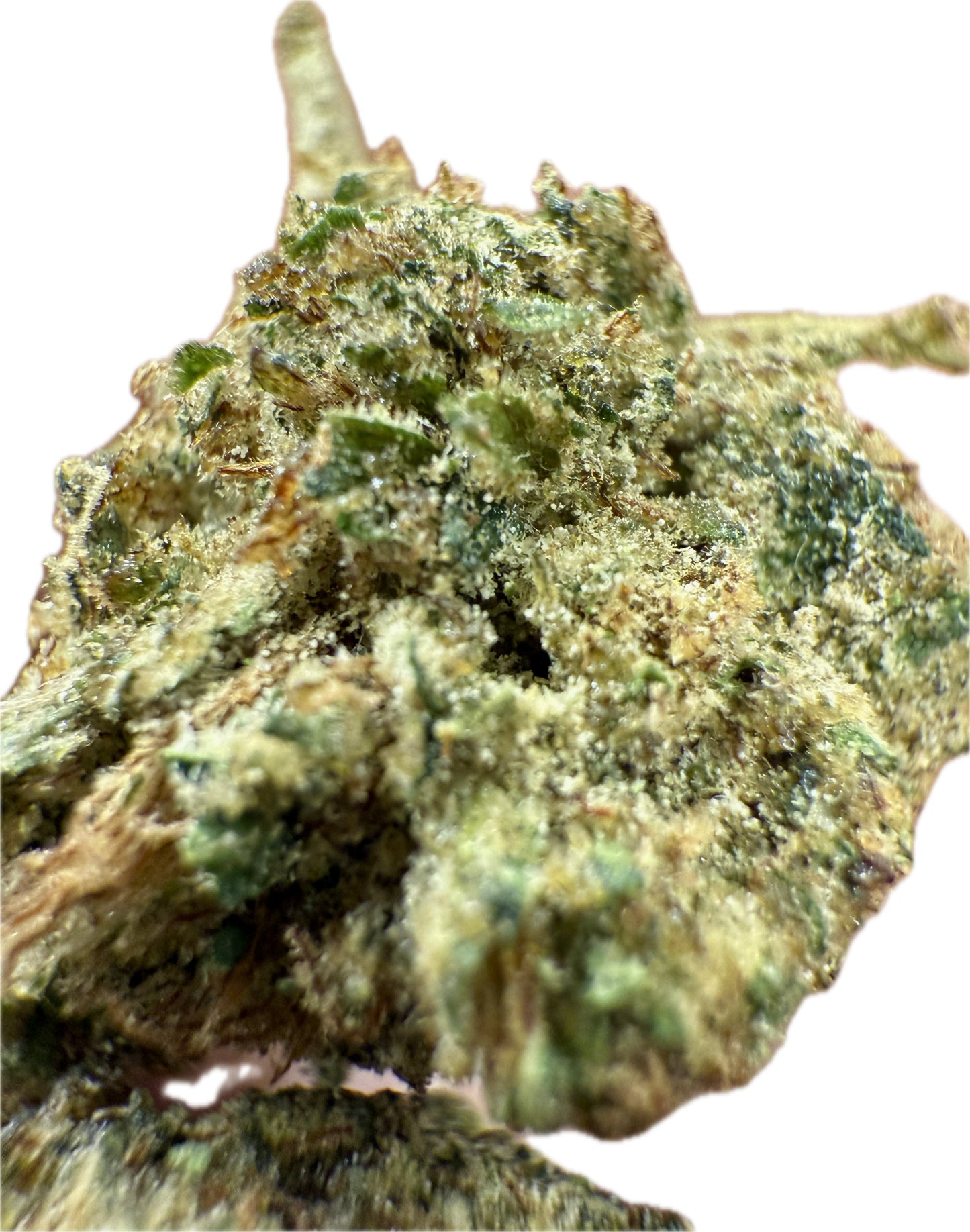 Ripkitty Rootbeer Floatz Hemp Flower