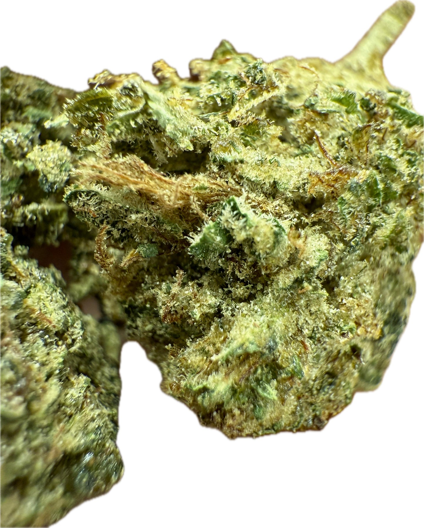 Ripkitty Rootbeer Floatz Hemp Flower