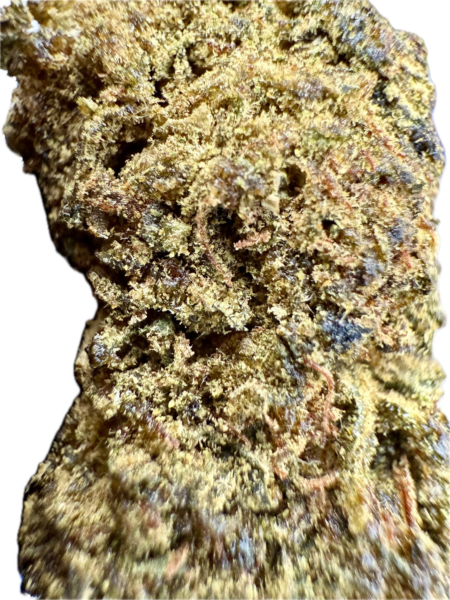 Ripkitty Sour Hawaiian Haze CBD Hemp Flowers