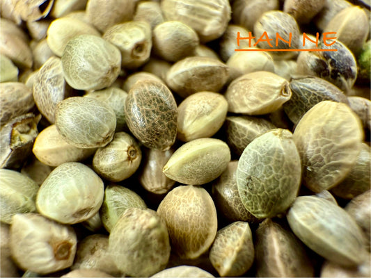 Ripkitty International & Domestic Live Raw Viable Hemp Seeds Sold in Bulk & Single Amounts for Agriculture, Poultry, Equine Feeding, & Livestock