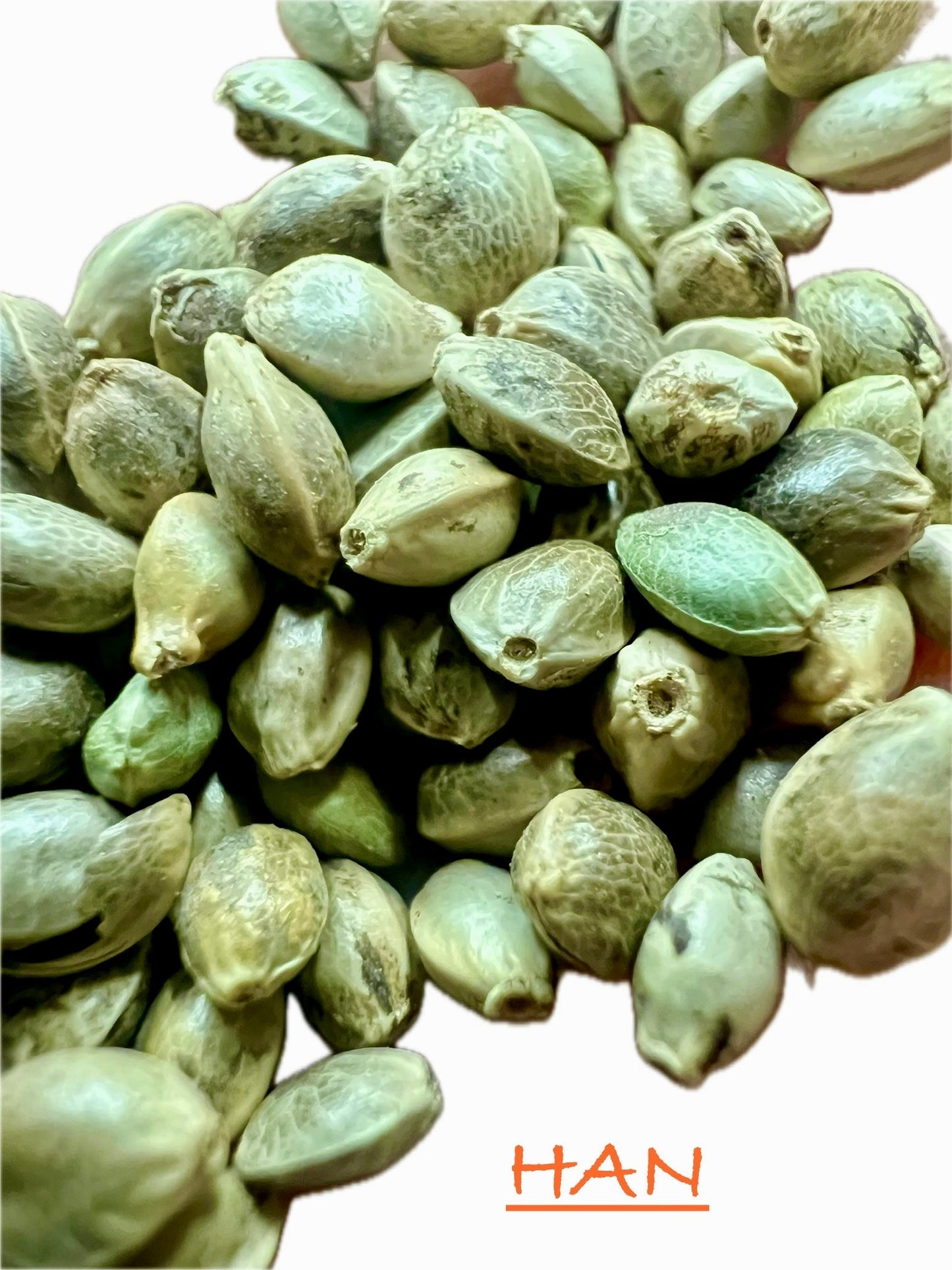 Ripkitty International & Domestic Live Raw Viable Hemp Seeds Sold in Bulk & Single Amounts for Agriculture, Poultry, Equine Feeding, & Livestock