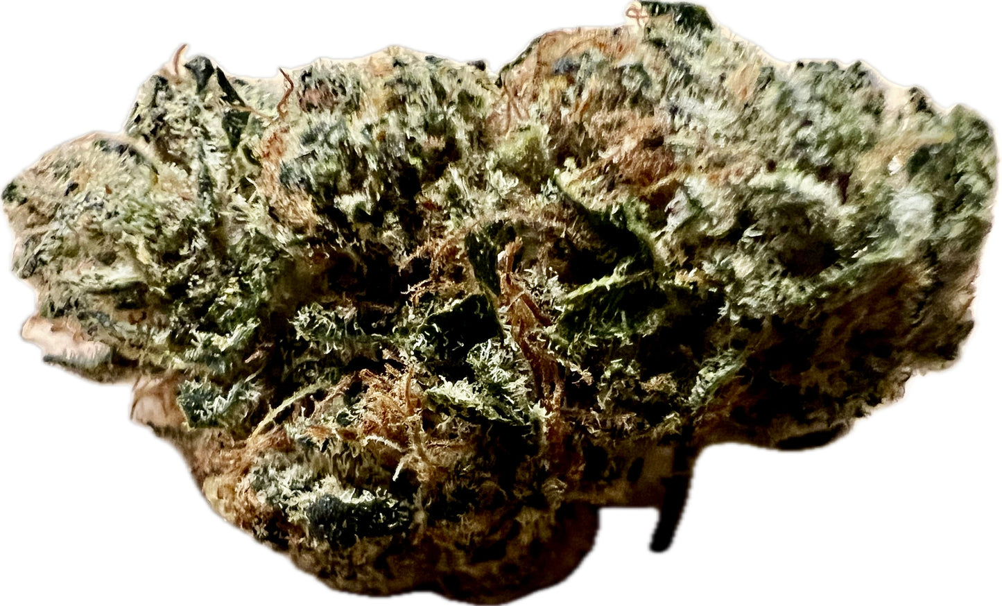 Ripkitty Indoor Big Apple Jack CBD Hemp Flowers