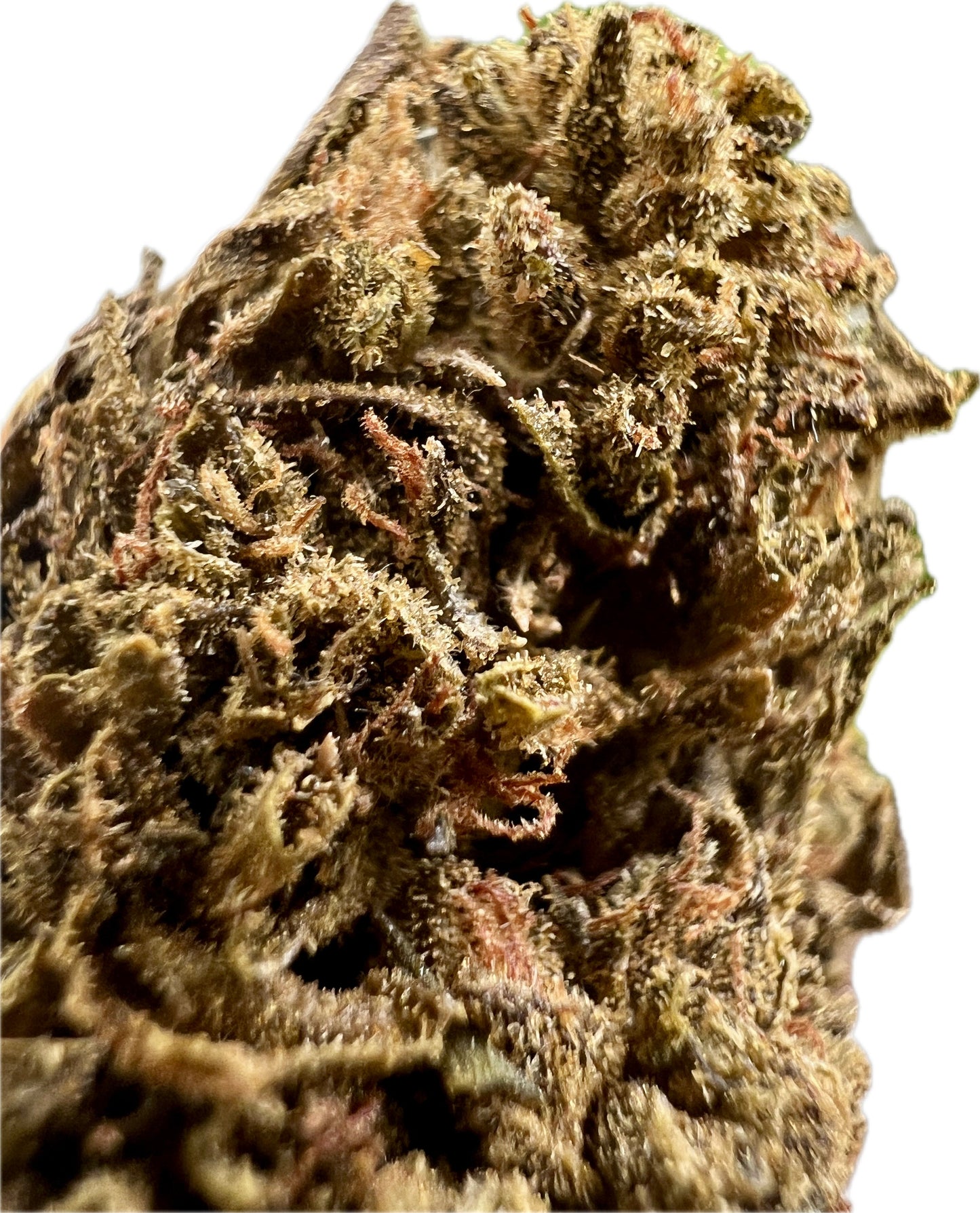 Ripkitty Jungle Driver THCA Hemp Flowers