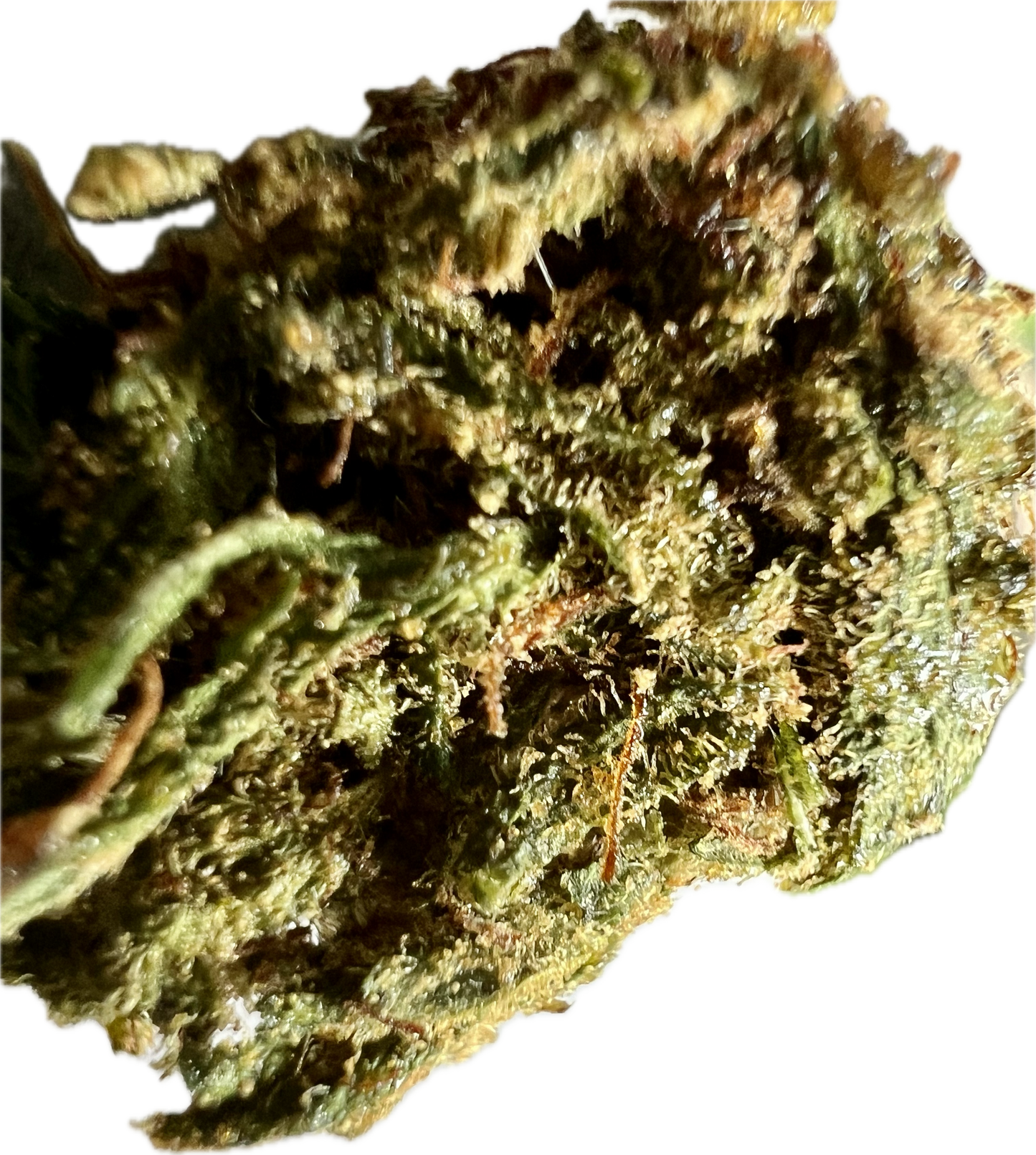Ripkitty Super Sour Lifter Hemp Flowers
