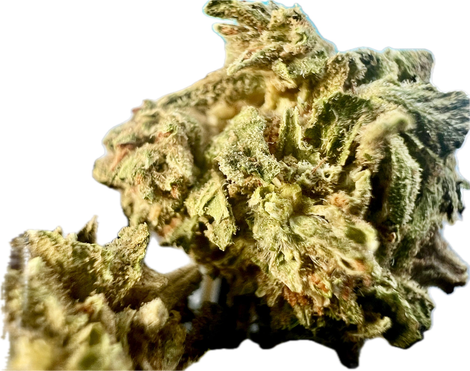Ripkitty Gelato #33 THCA Hemp Flowers